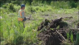 The Curse of Oak Island - Season 12 Episode 08